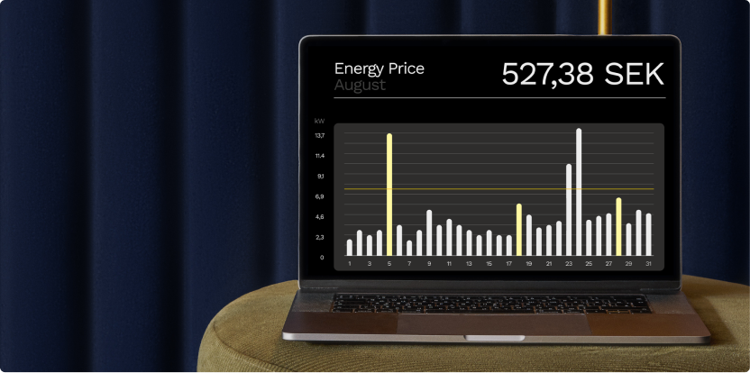 Laptop showing a dashboard with pedagogic forecasts of energy prices